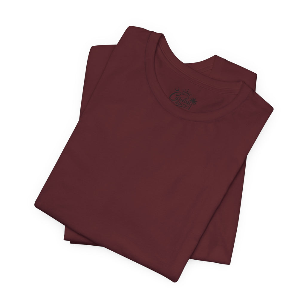 Southern Shine - Unisex Jersey Short Sleeve Tee